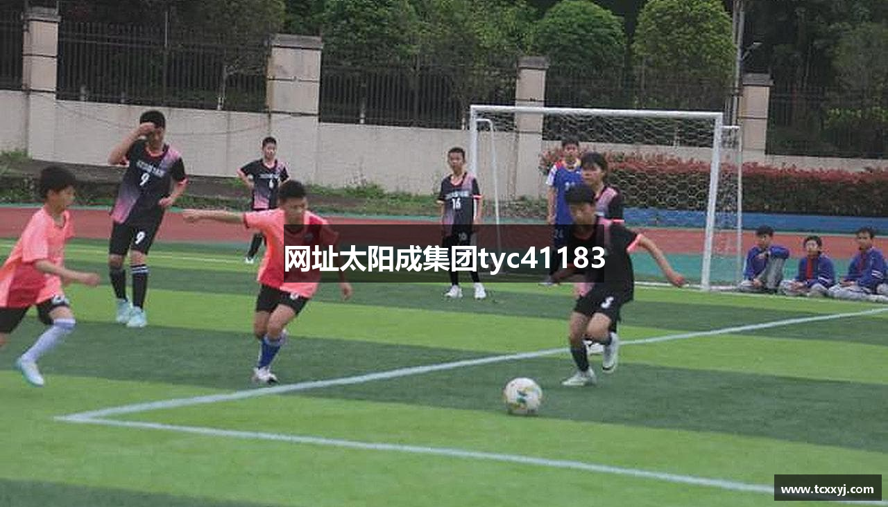 网址太阳成集团tyc41183